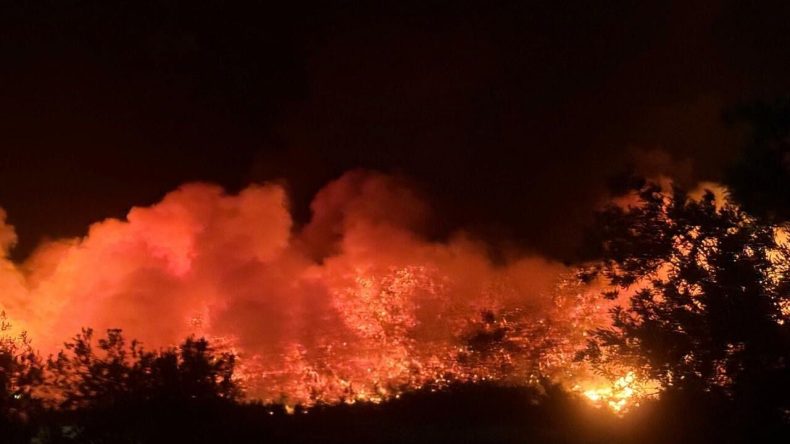 Aliağa’da Orman Yangını Nedeniyle Bir Kişi Gözaltına Alındı
