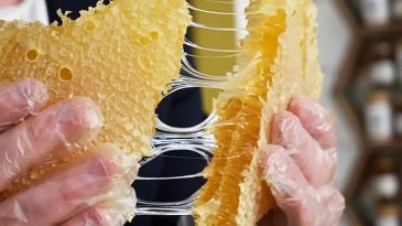 Bal Tüketimi Tehlikeli Olabilir: 1.5 Kaşık Deli Bal Yedikten Sonra Hastanelik Oldu