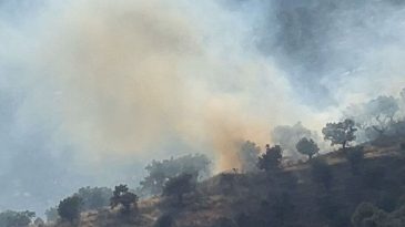 Bayındır’da Zeytinlik Alanda Yangın Kontrol Altına Alındı