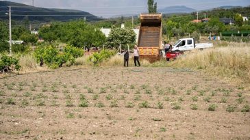 Bornova’da Kurban Atıkları Organik Gübreye Dönüştürüldü