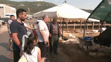 Bornova’da Kurbanlık Fiyatları Düşüyor: Alıcılar Memnun, Satıcılar Şikayetçi