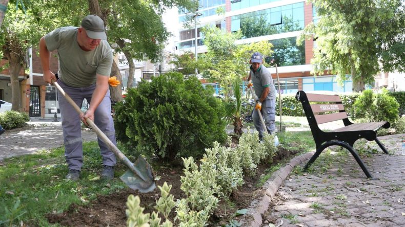 Bornova’da Yeşil Dönüşüm Hamlesi: Parklara Yeni Sistem Geliyor