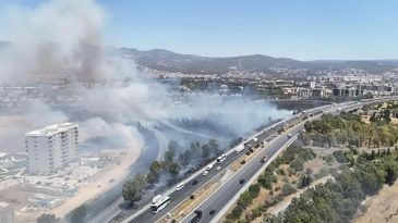 Bornova&rsquo;da Yol Kenarında Yangın: Trafik Durma Noktasına Geldi