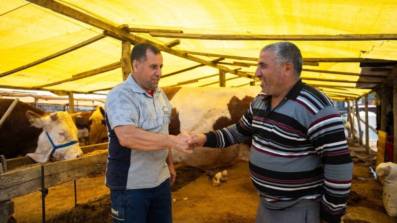 Bornova’ya Yeni Kurban Pazarı: Bu Bayram Hizmette!