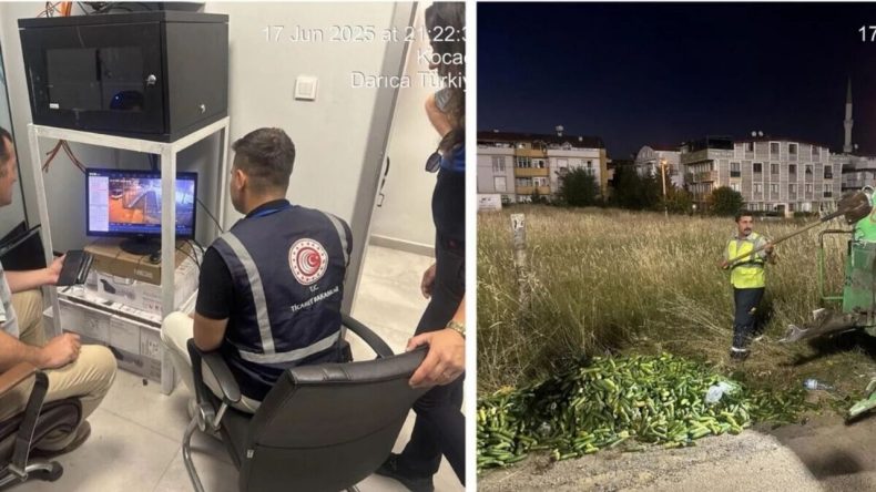 Boş arazideki 250-300 kilogram çürük salatalık olayı: Bakanlıktan açıklama