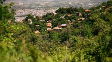 Burası Karadeniz değil İzmir: Yeşil Doğa ve Temiz Su Kaynakları ile Kaplan K&ouml;y&uuml;