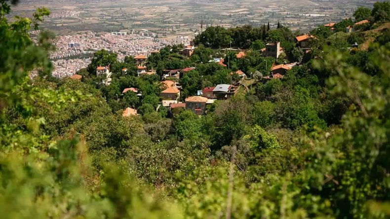 Burası Karadeniz değil İzmir: Yeşil Doğa ve Temiz Su Kaynakları ile Kaplan Köyü