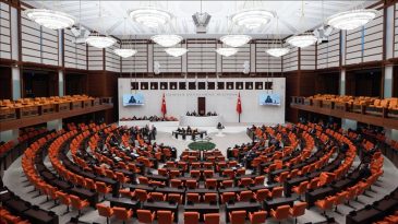 Çiftçi-Sen’den ‘Torba Yasa’ Protestosu: Zeytinliklere Saldırmaktan Vazgeçin