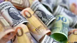 Dövizde dalgalanmalar sürüyor: Euro yükseliyor, dolar direnemiyor