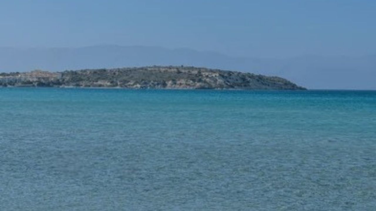 Elif Koyu İç Görünümü