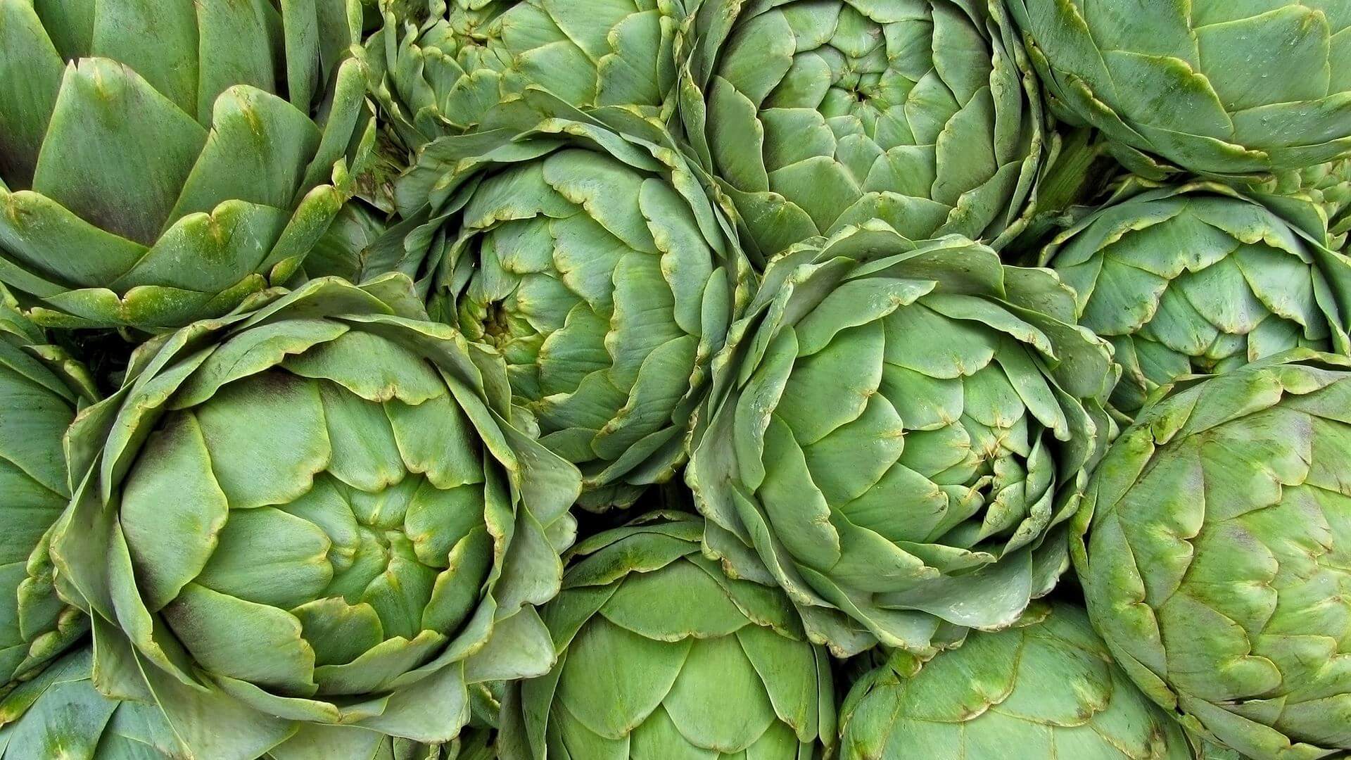 Enginar Mucizesi Suyun Icindeki Tehlikeyi Temizliyor