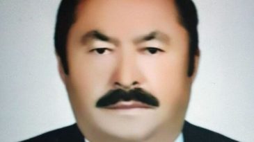 Eski muhtarın arıların saldırısına uğraması sonucu hayatını kaybetti!