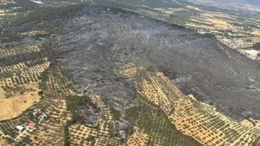 Foça’daki Yangın Kontrol Altında