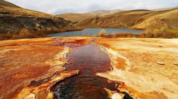 Gören Bergama sanıyor: Kırmızı rengi ile sadece Türkiye’de değil dünyada eşi benzeri yok