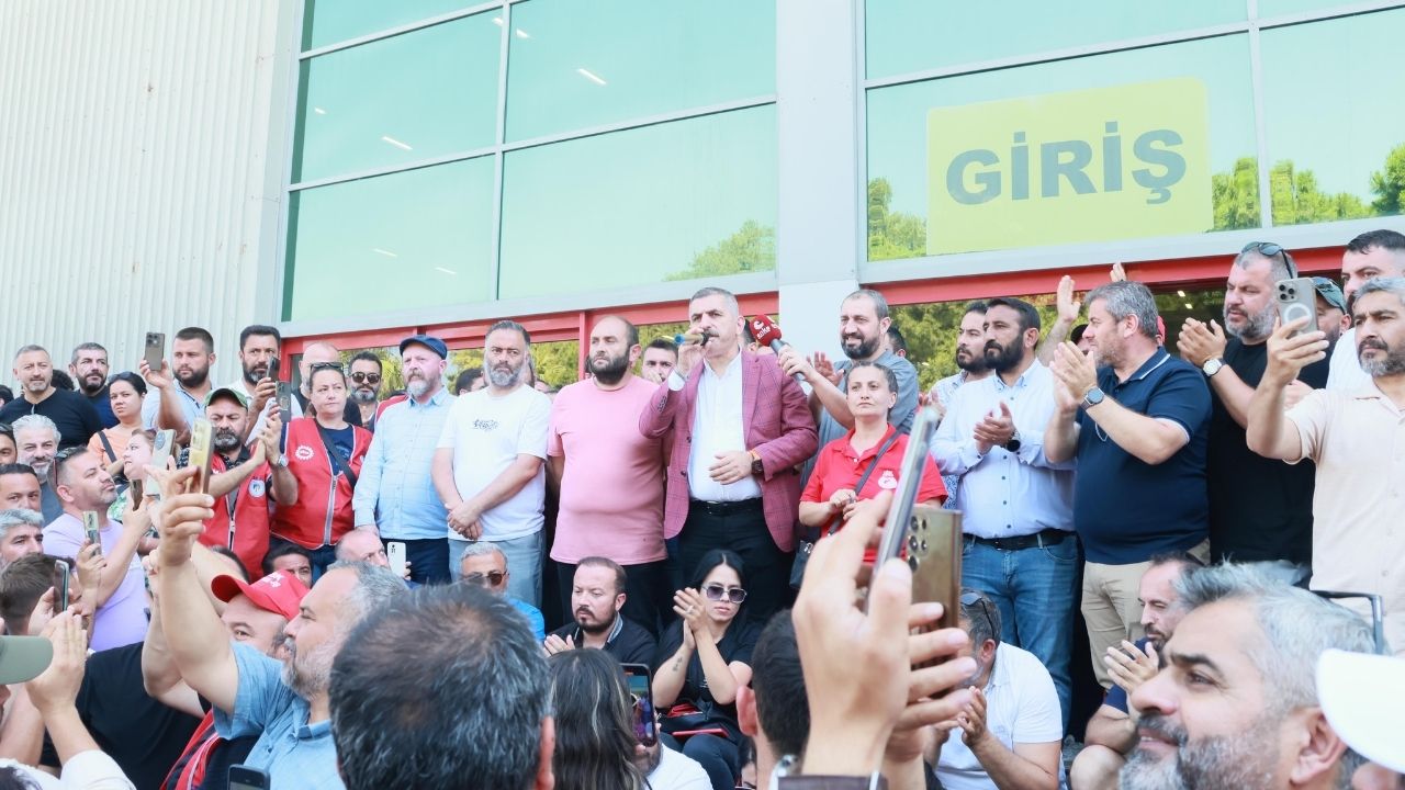 Grev Sonuçları
