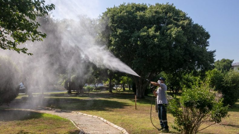Güzelbahçe’de Yaz Boyunca Mücadele Başladı
