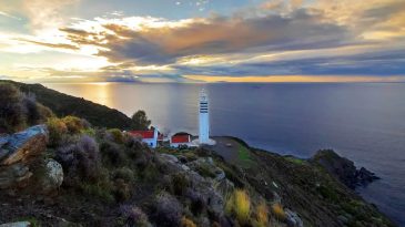 İzmir’in 225 Yıllık Köyü: Deniz Manzarası Büyülüyor, Bayram Ritüeli İlgi Görüyor