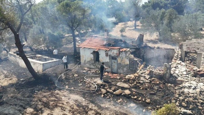 İzmir’in Ciğerleri Yandı: 2 Günde 280 Futbol Sahası Büyüklüğünde Orman Kül Oldu