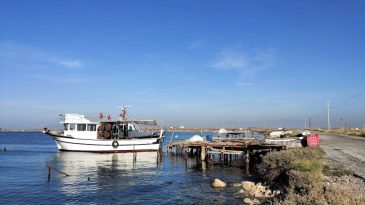 İzmir’in Gizli Cenneti: Homa Dalyanı Nerede ve Nasıl Gidilir?