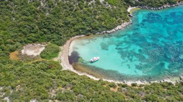 İzmir’in Gizli Cevheri: Çam Ağaçlarıyla Bezenmiş Demircili Köyü