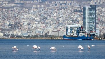 İzmir’in İklim Eylemi Çalışmaları Avrupa’da Tartışıldı
