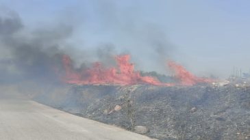 İzmir Kemalpaşa’da Korkutucu Yangın: 4 Civciv Kurtarıldı
