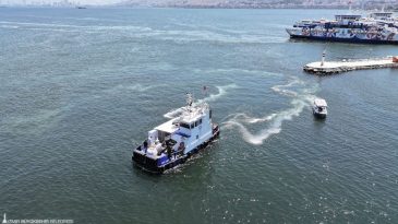 İzmir Körfezi’nde sevindiren haber: Yeni yöntem sonuç verdi