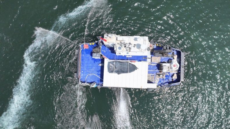 İzmir Körfezi'ne Nefes Alacak Çözüm: Balıklar Bu Yöntemle Kurtulacak