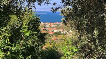 İzmir’in lezzet durağı: Ödüllü restoranlar cenneti Urla