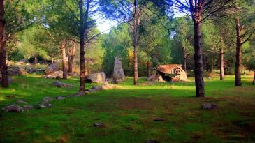 İzmir Perperene Antik Kenti-Bergama