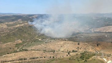 İzmir Seferihisar’da Yangın: 3 Uçak ve 4 Helikopterle Müdahale Gerçekleştirildi