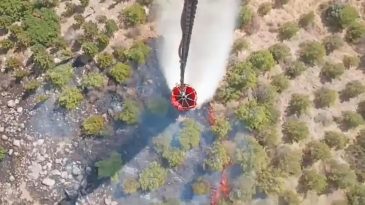 İzmir Seferihisar’da Yangın: Havadan ve Karadan Müdahale Ediliyor