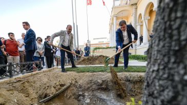 İzmir’in Sembolü Olmaya Aday: Kemeraltı’nın Yeni Çınarı Dikildi