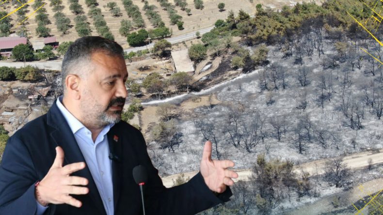 İzmir Yangınında Ilıpınar Köyü Tahliye Edildi: İşte Acı Bilanço