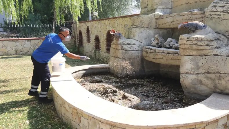 İzmir'de Haşere İle Mücadele İçin Seferberlik Başlatıldı