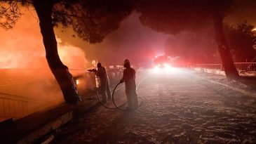 İzmir'de kabus g&uuml;n&uuml;: 24 saatte 9 b&uuml;y&uuml;k yangın &ccedil;ıktı