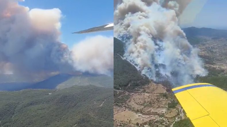 İzmir'de Orman Yangını: Havadan ve Karadan Müdahele Devam Ediyor