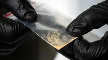 İzmir’de 126 Kilogram ‘İnsan Yiyen’ Uyuşturucu Ele Geçirildi: 2 Şüpheli Gözaltında