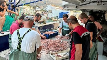 İzmir’de Balıkçı Barınaklarına ve Perakende Satış Noktalarına Denetim: 1 Milyonluk Ceza