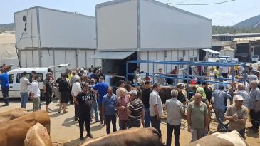 İzmir’de Bayramın İlk Günü Kesilen Kurban Sayısı Açıklandı