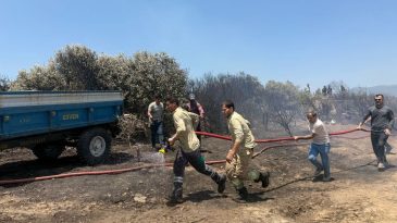 İzmir’de çıkan orman yangını kontrol altına alındı