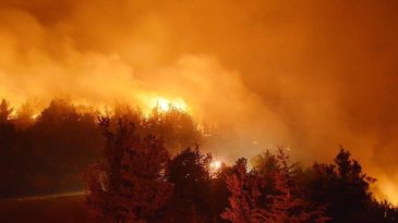 İzmir’de Çöp Alanında Yangın Söndürüldü!