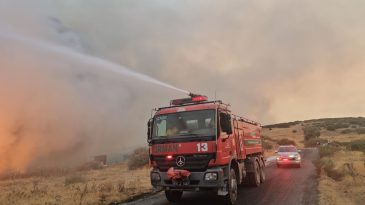 İzmir’de Endişe Verici Yangın: Hızlı Müdahale ile Söndürüldü