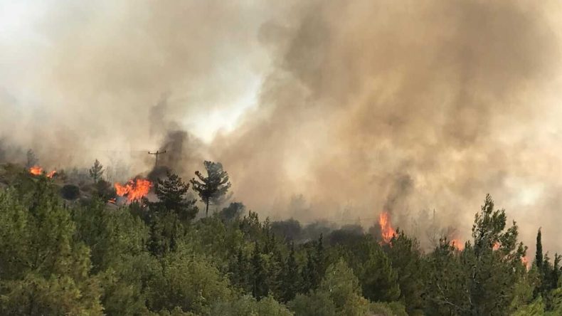 İzmir’de İki Noktada Orman Yangını: Alevler Kontrol Altına Alındı