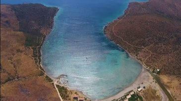 İzmir’de Köye Özel Plaj: Zeytin Ağaçları Arasında, Masmavi Suyuyla Samos’u Aratmıyor