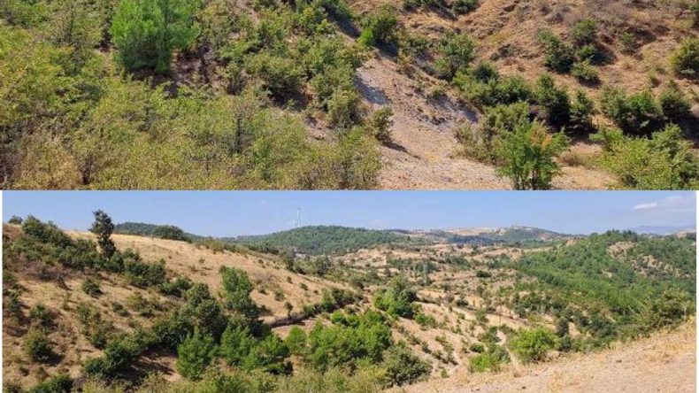 İzmir’de Lisansız RES Projesinde Yeni Gelişmeler