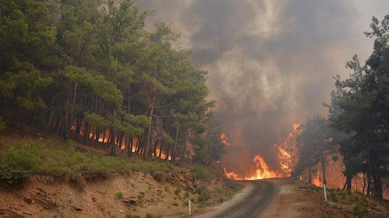 İzmir’de mangal ateşi ormanı yaktı: 1 kişi tutuklandı