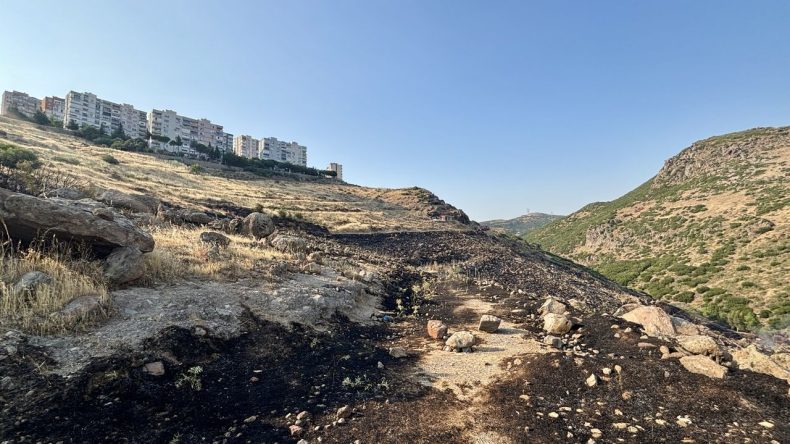 İzmir’de Ot Olan Alanda Yangın: 1 Hektar Ziyan Gördü