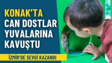 İzmir’de sevgi kazandı: Konak’ta can dostlar yeni yuvalarına kavuştu