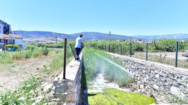 İzmir’de Sinek Sorunu: Başkan Tugay’dan Açıklamalar
